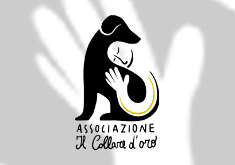 Legge per “la vita indipendente di tutte le persone con disabilità” – REGIONE LOMBARDIA