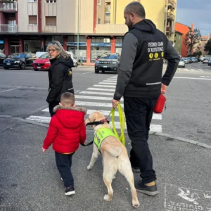 DONA - Sessione di socializzazione e addestramento